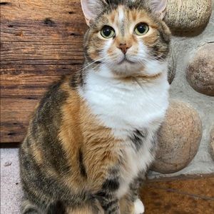 Meet your Posher, Grace